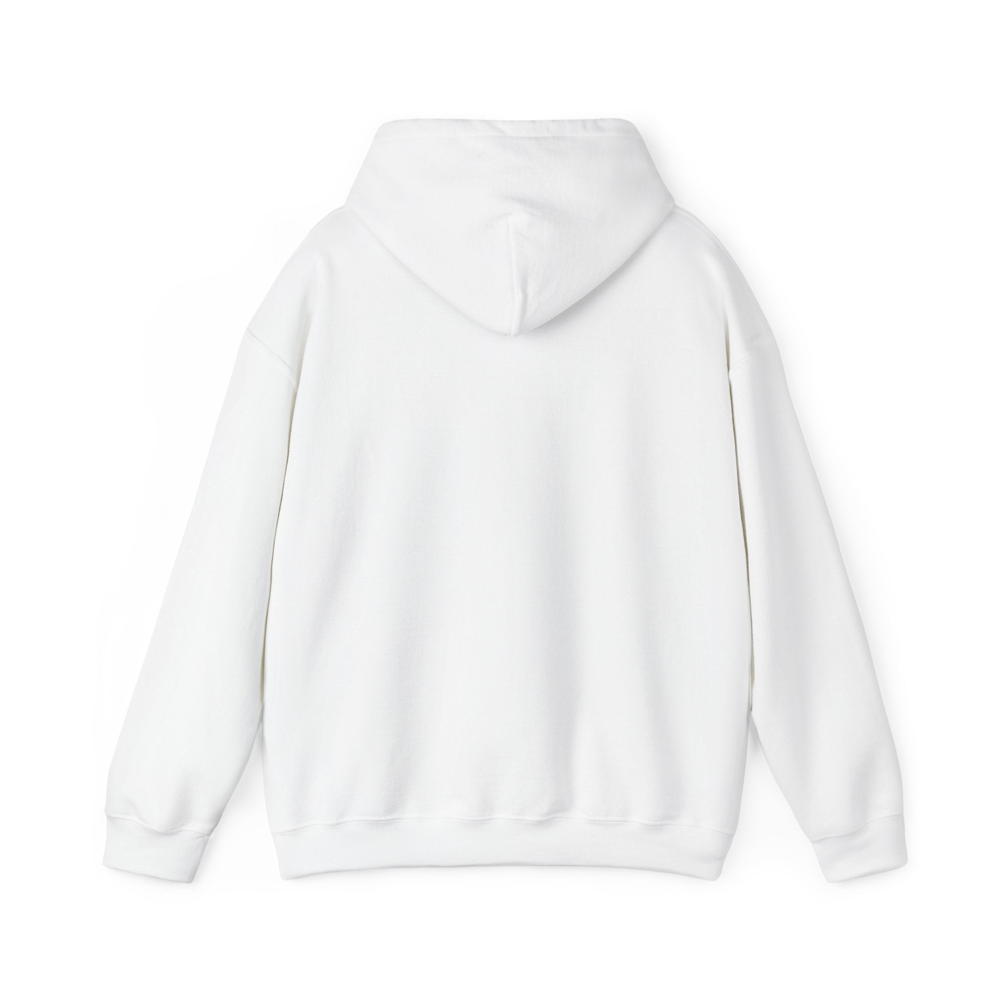 Racing Silly Goose radio check Hoodie | Racing Meme, Weekend Race Day
