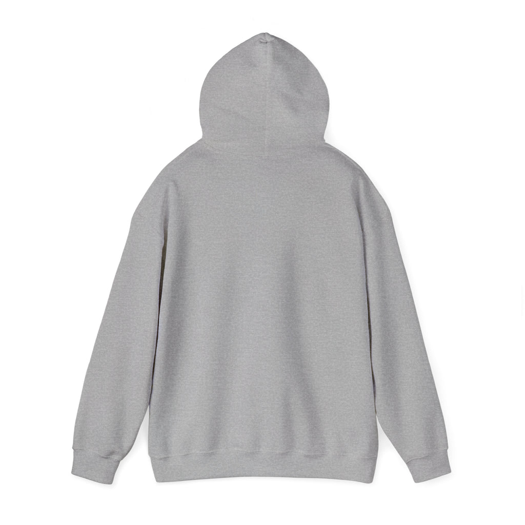 Racing Silly Goose radio check Hoodie | Racing Meme, Weekend Race Day