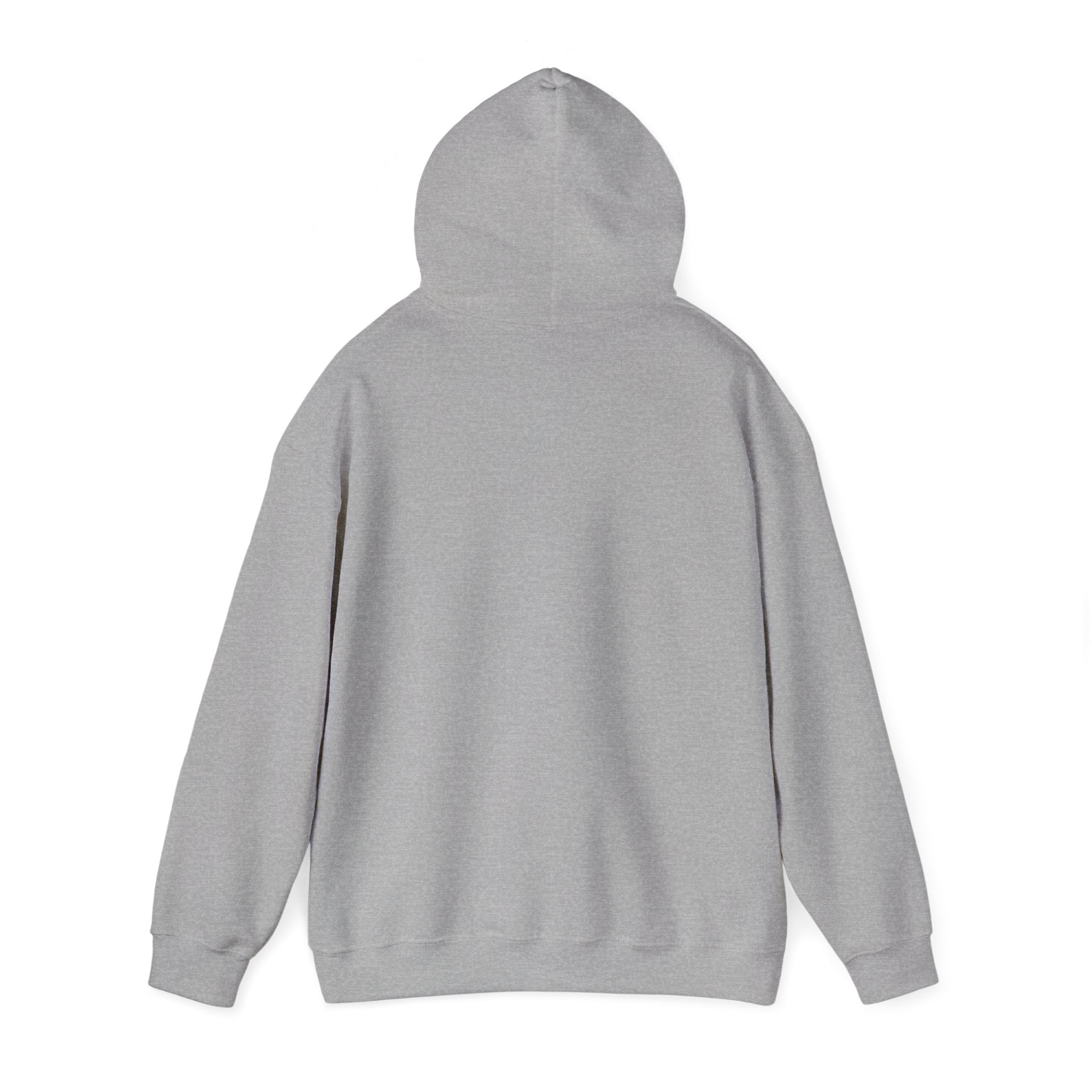 Racing Silly Goose radio check Hoodie | Racing Meme, Weekend Race Day