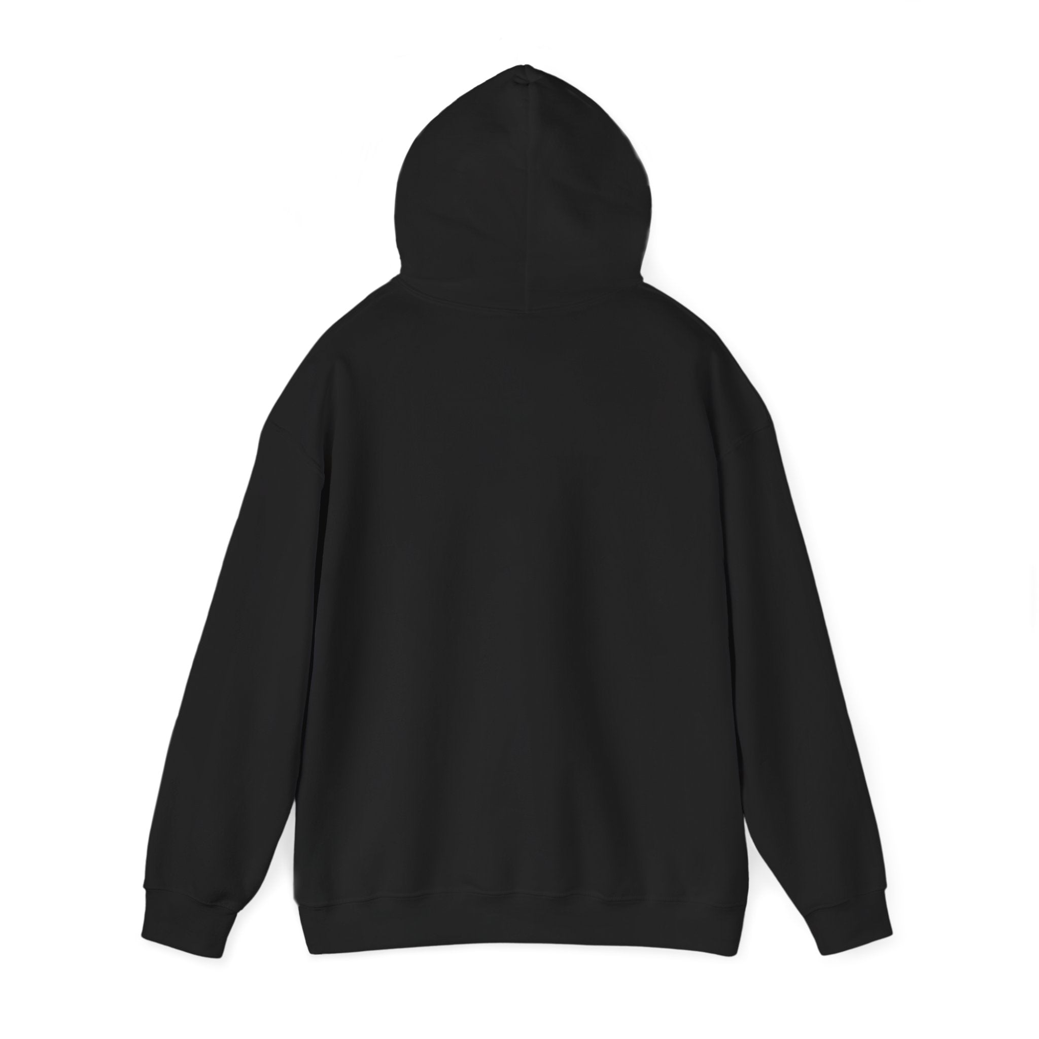 Racing Silly Goose radio check Hoodie | Racing Meme, Weekend Race Day