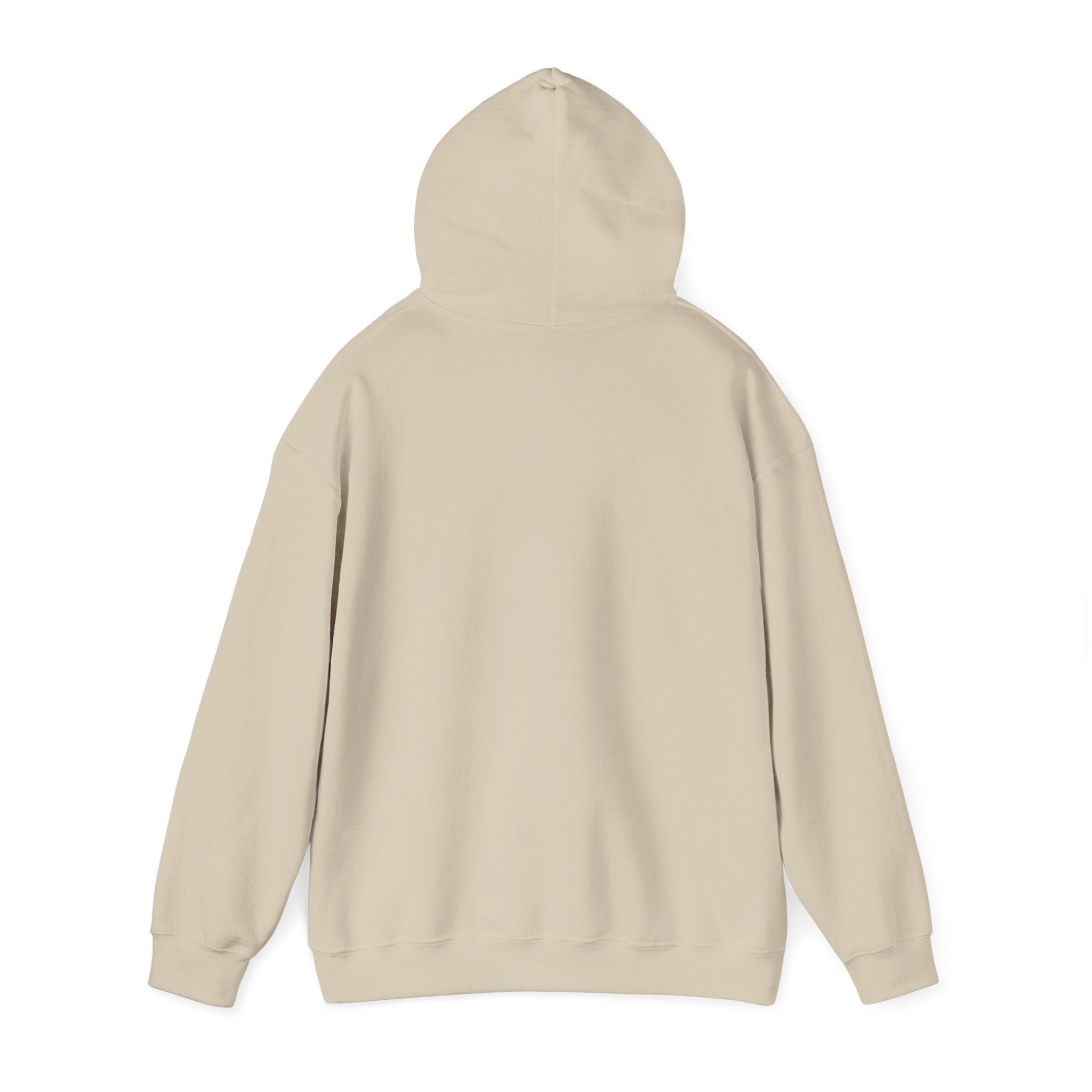 Racing Silly Goose radio check Hoodie | Racing Meme, Weekend Race Day