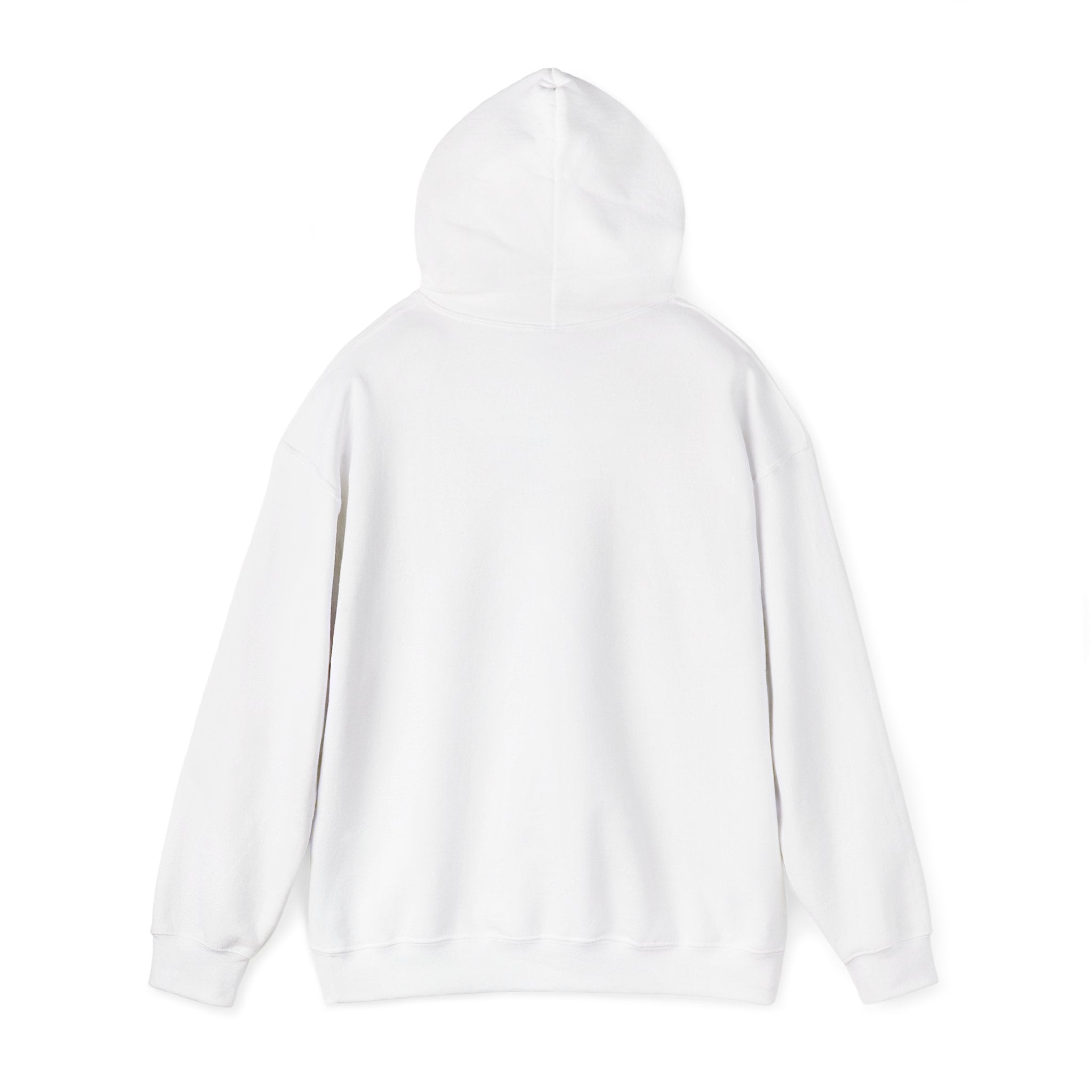 Racing Silly Goose radio check Hoodie | Racing Meme, Weekend Race Day