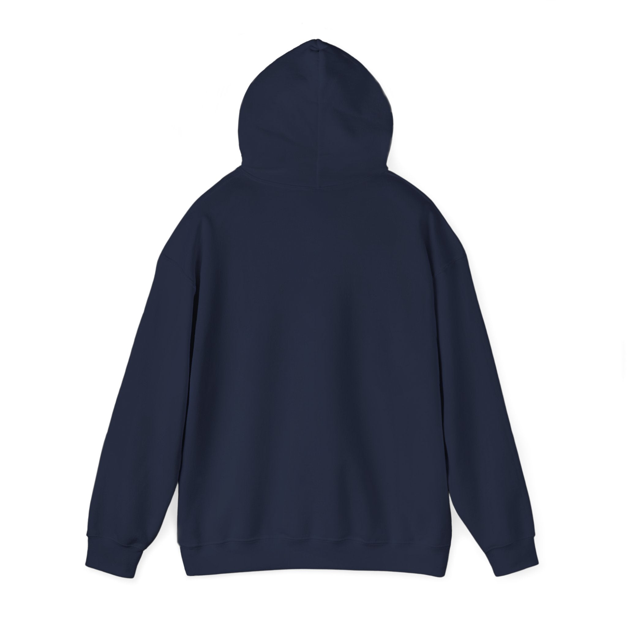 Racing Silly Goose radio check Hoodie | Racing Meme, Weekend Race Day