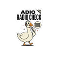 Radio Check Goose Sticker | Racing Meme, Honk Honk Kiss-Cut Sticker